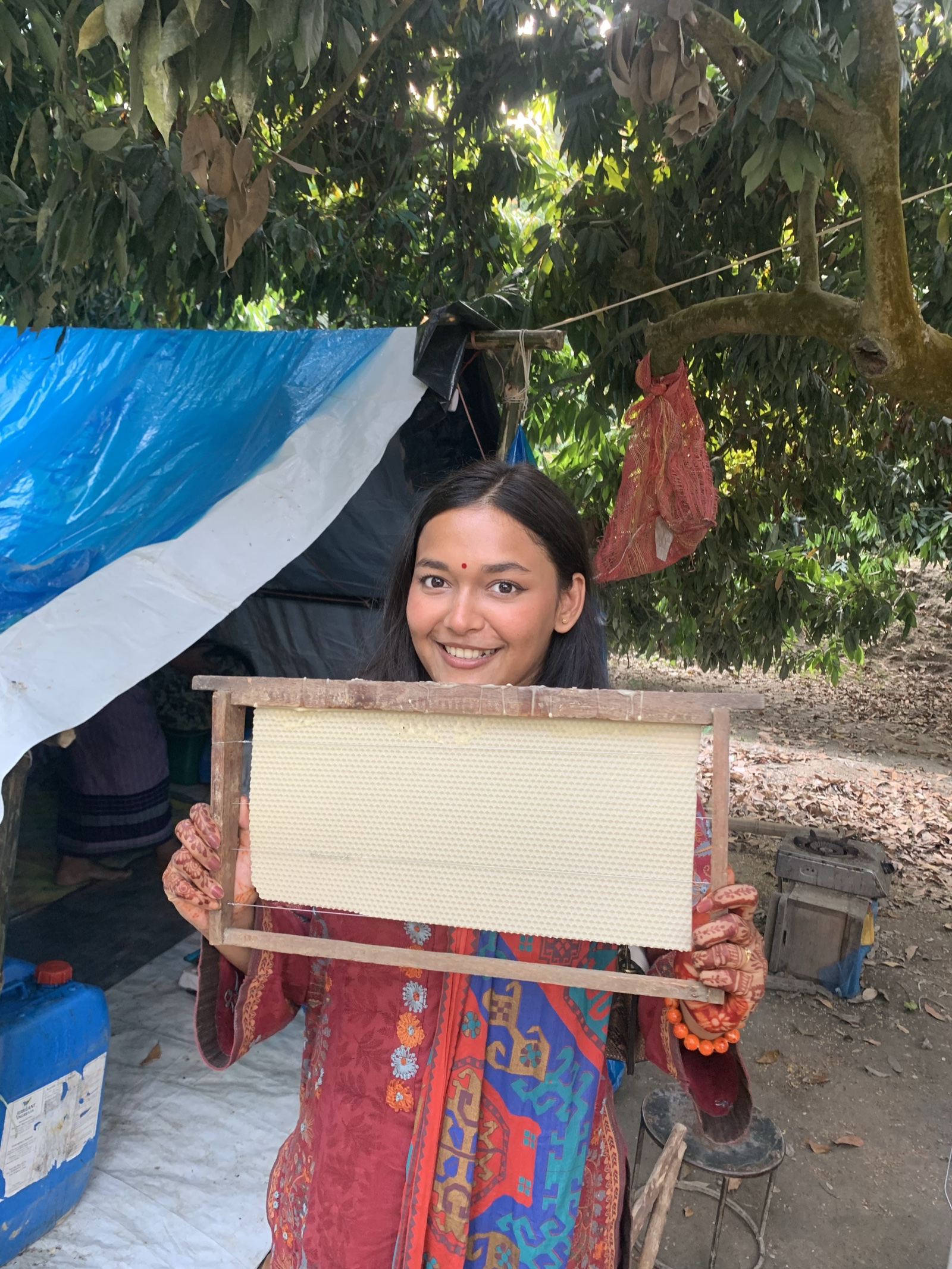 Farzana Reza Shifa inspecting honeycomb frame in Panchagarh litchi orchard