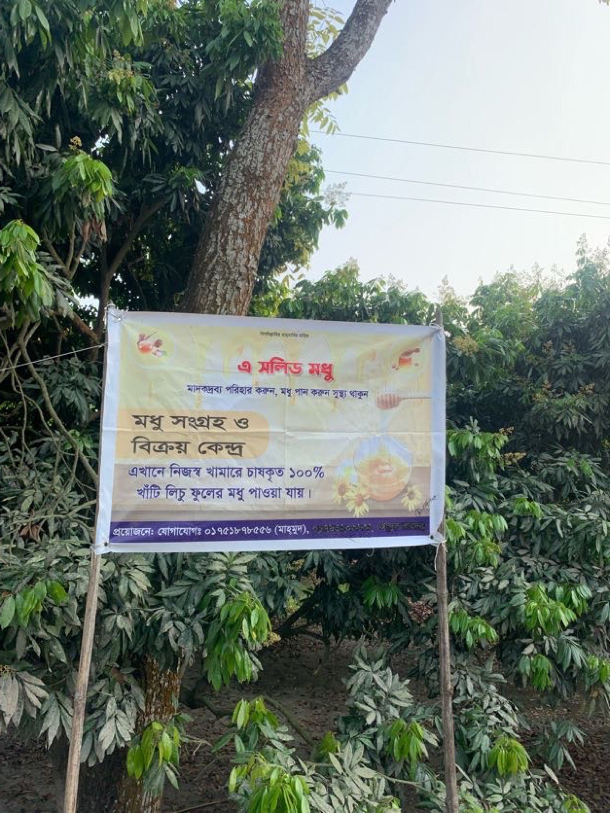 A Solid Modhu banner sign in orchard