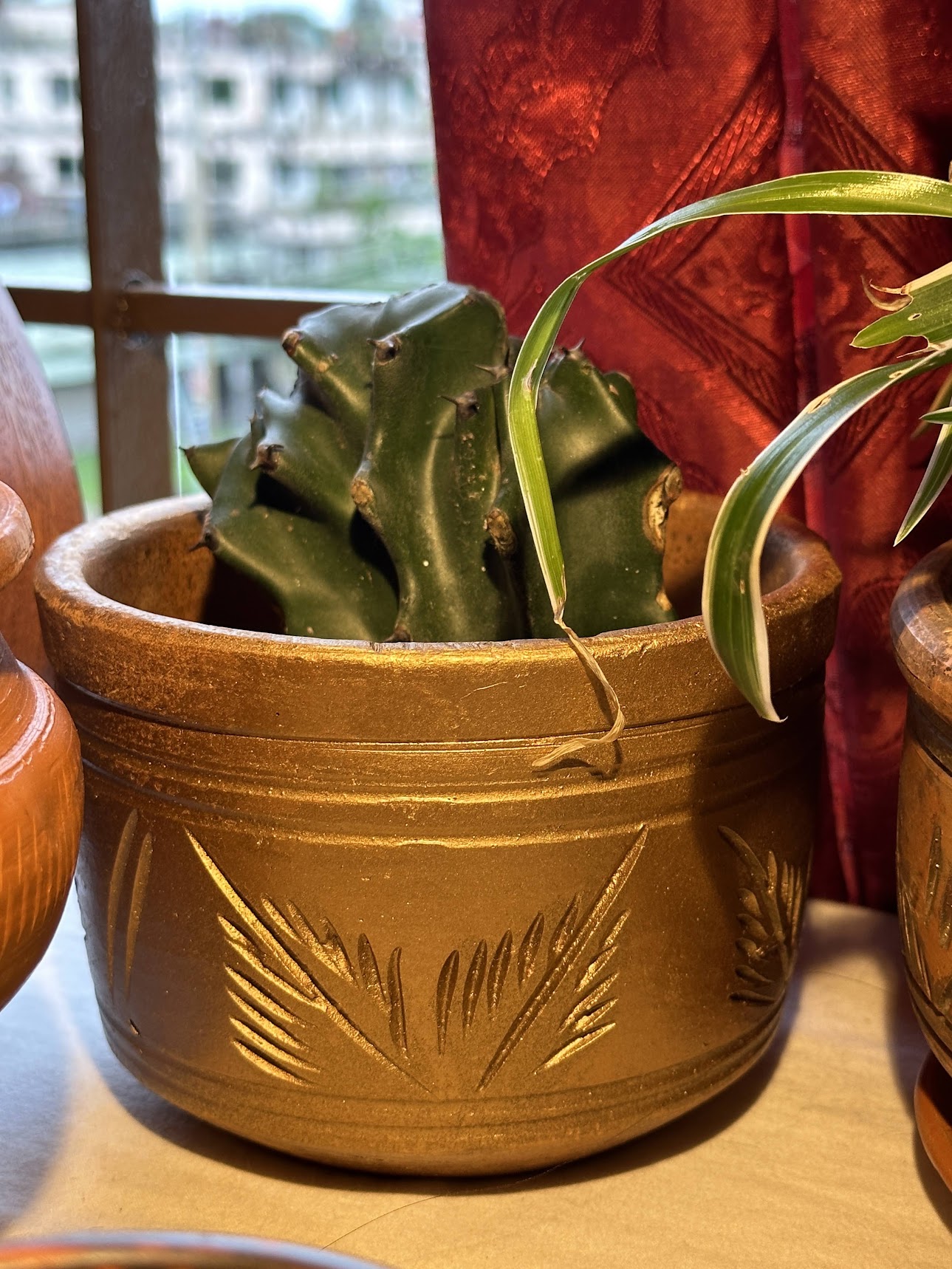 Gold-tinted carved terracotta pot with a cactus