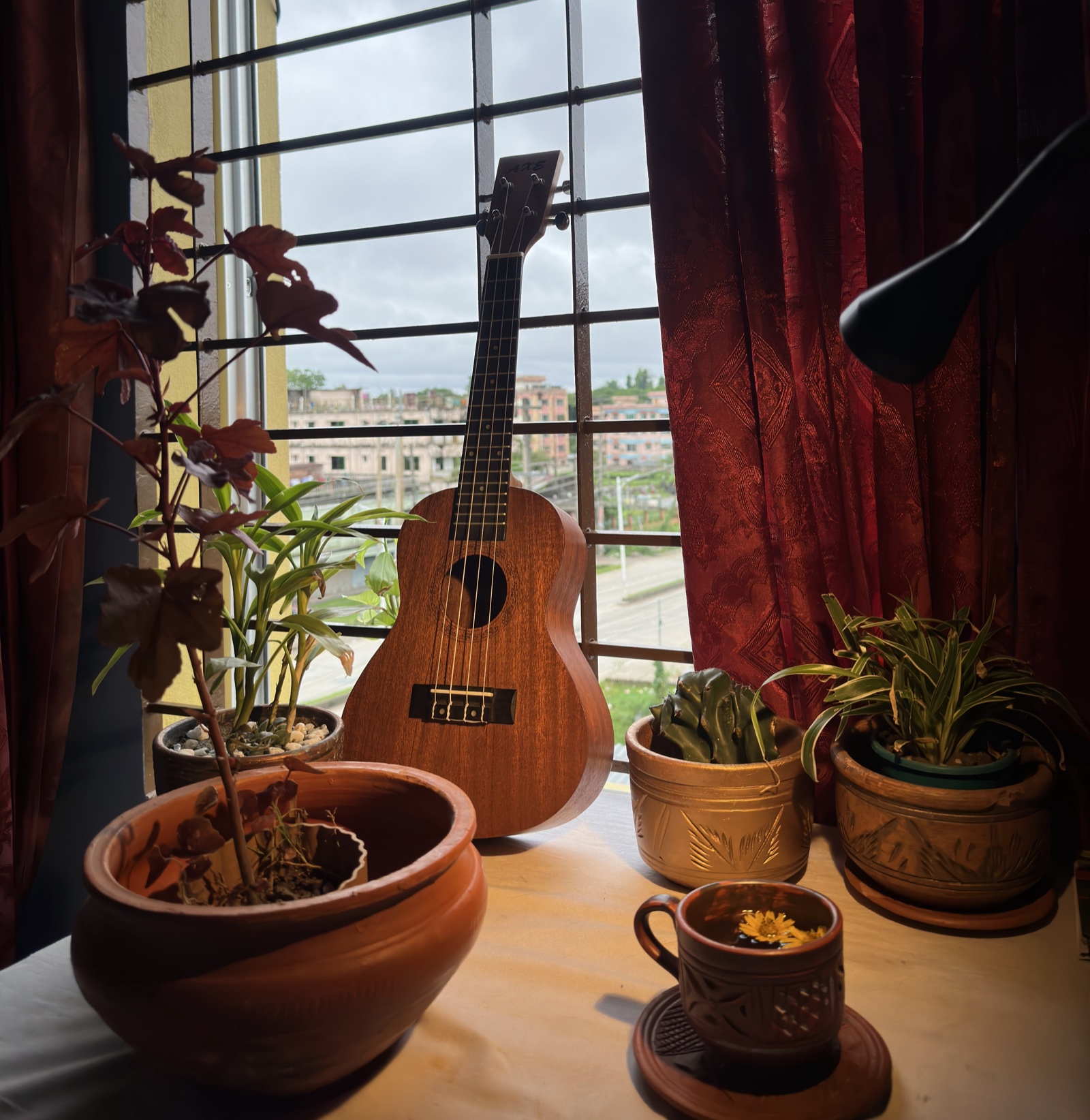 Terracotta botanical planters, ukulele, and tea cup on windowsill
