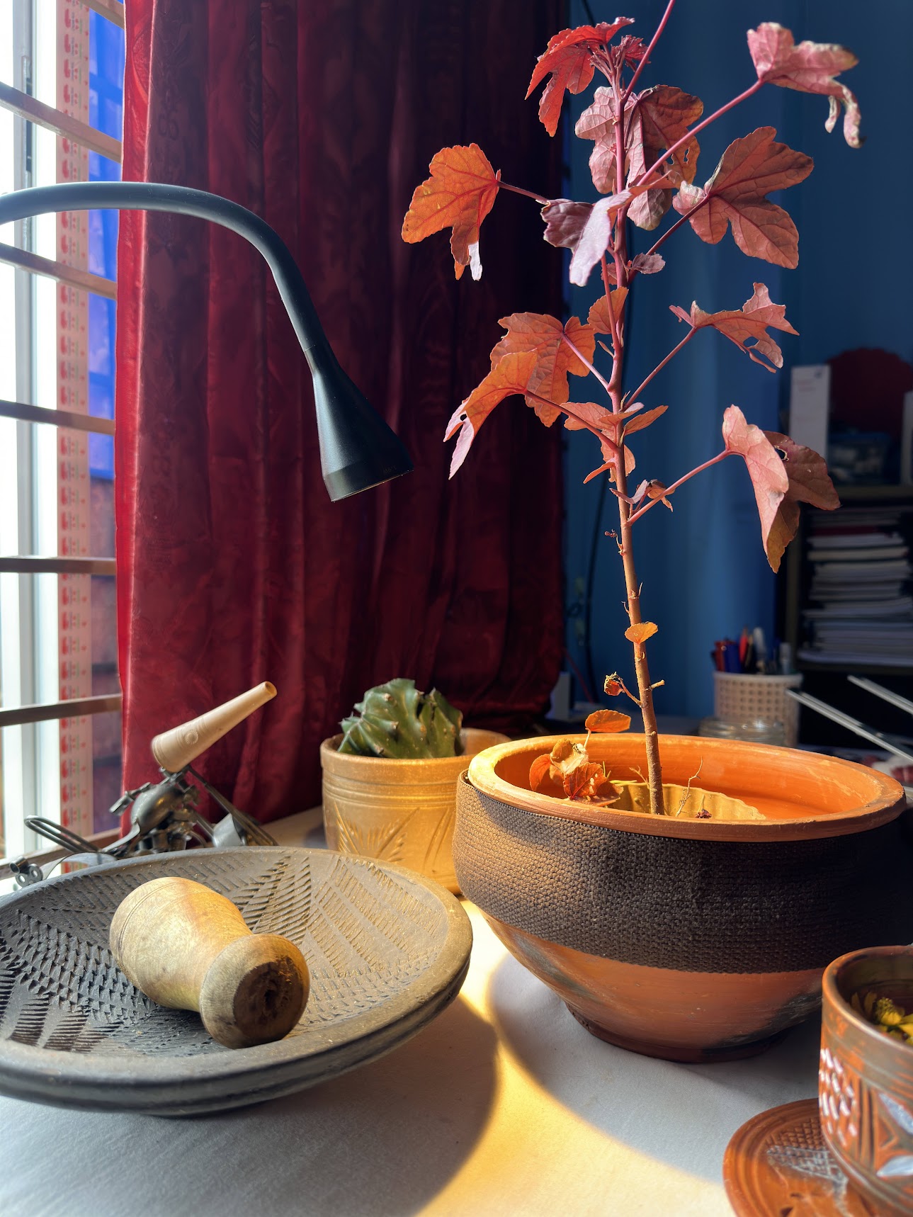 Terracotta mortar bowl with wooden pestle and red sapling